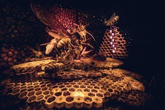 Fantastic Bug Encounters! - The Field Museum