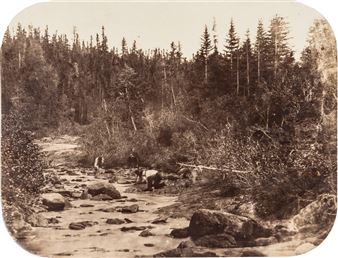 Terre-Neuve - Paul-Émilie Miot