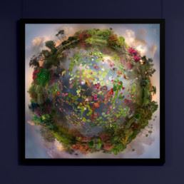 Light Years: 1999 - 2019 - Perth Centre for Photography