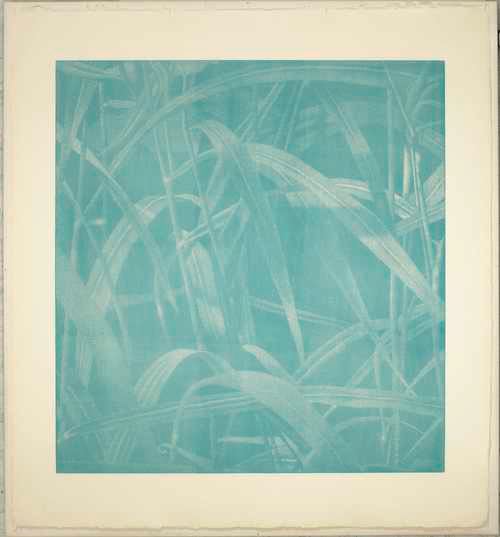 Gräser I by Franz Gertsch, 2000