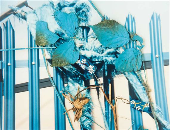 Stephen Gill | Hackney flowers (2008) | MutualArt