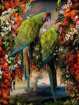 Creatures - Olsen Gruin, New York