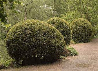 Summer Essentials - Sears Peyton Gallery