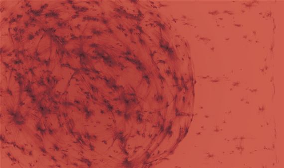 2019 Fremantle Arts Centre Print Award - Fremantle Arts Centre (FAC)