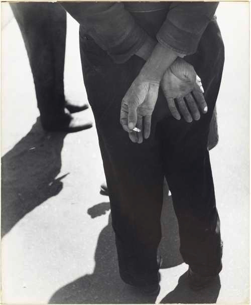 Man's Hand with Cigarette, Behind Back by Leon Levinstein, 1955