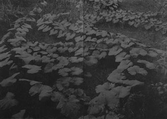 Bernard Tullen: gm project - Galerie Triangle Bleu