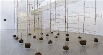 Visualising Disaster in Anita Groener’s the past Is a Foreign Country