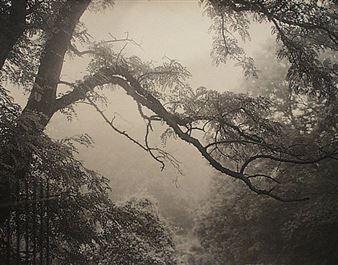 22nd Annual Summer Sale 2019 - Alan Klotz Gallery