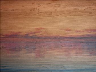 Ryan Linke: Aquatic Figment - DNJ Gallery