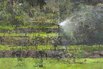 'Eileen Hogan: Personal Geographies' Reveals the Beauty Behind Garden Fates