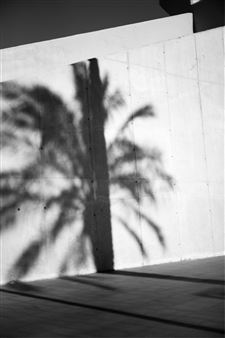 Ici, Éden - Galerie Laurence Bernard