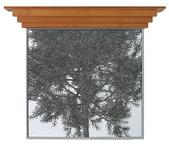 Elegy in C - White Pine - MANUAL