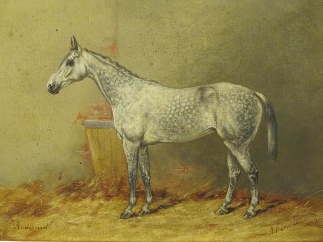 Bridesmaid, a Dappled Grey Horse in a Stable by Henry Frederick Lucas-Lucas, 1907