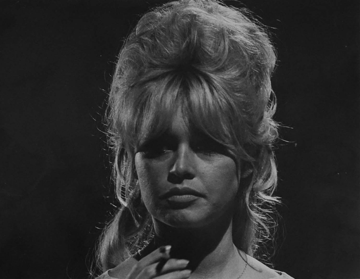 Daniel Cande | Brigitte Bardot | MutualArt
