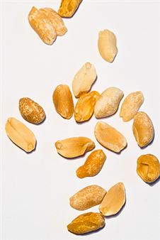 Subversiv: Exhibition of the 2018 HAUS am KLEISTPARK art prize nominees - Haus am Kleistpark