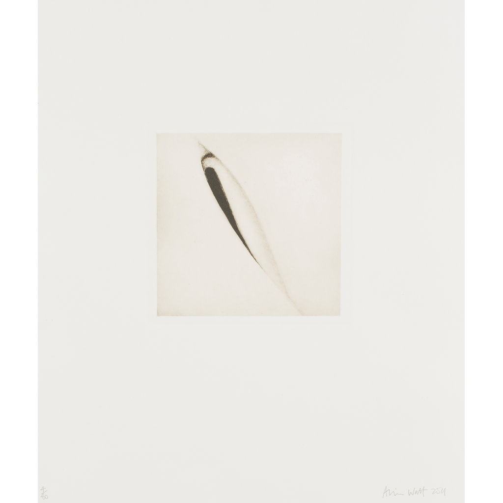 Artwork by Alison Watt, UNTITLED I & II - HIDING IN FULL VIEW, Made of photogravure