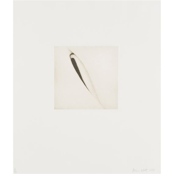 UNTITLED I & II - HIDING IN FULL VIEW