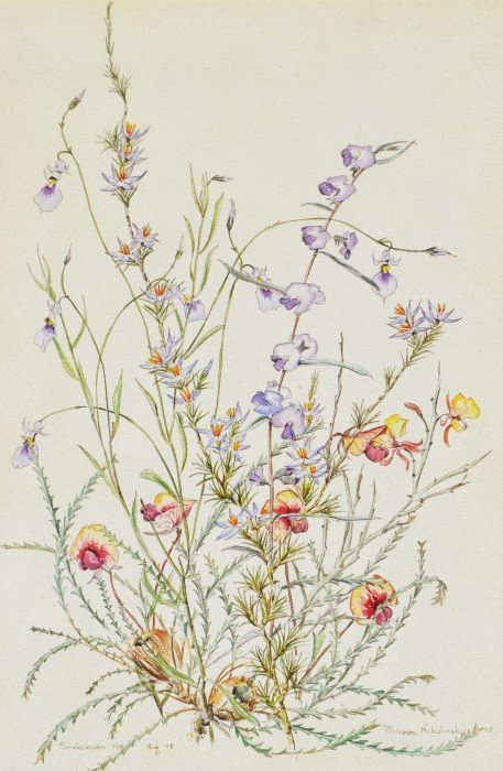 Philippa Nikulinsky | W. A. Wildflowers (1982) | MutualArt