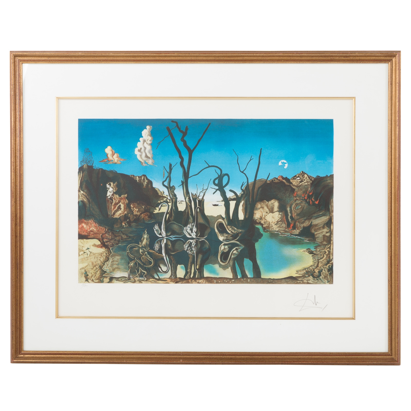 Swans Reflecting Elephants