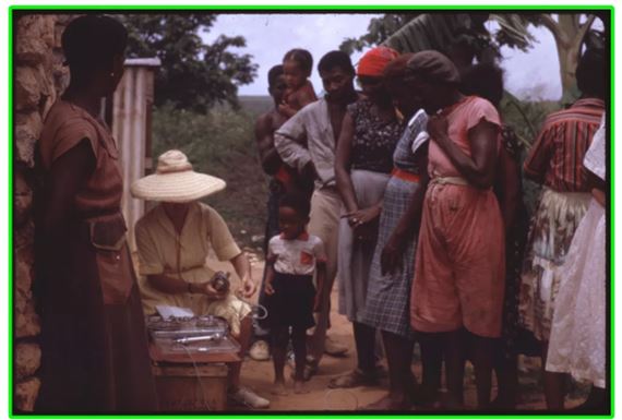 Mutant Dust Bunnies - Roots & Culture