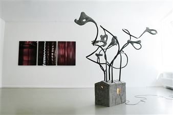 Gurrgutis: Installations & Objects - Meno Niša
