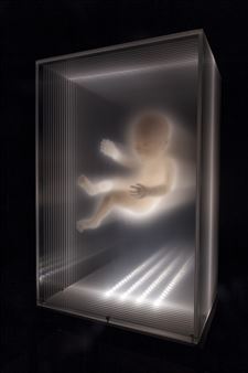 The Ethereal Installations of David Spriggs