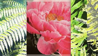 D.Paul DeRouen: No Flower Grows Unseen  - Octavia Art Gallery, Houston