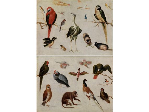 2 Works: Exotic Animals Before Light Background by Jan van Kessel I