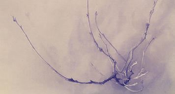 Unto This Last: Two Hundred Years of John Ruskin - Yale Center for British Art