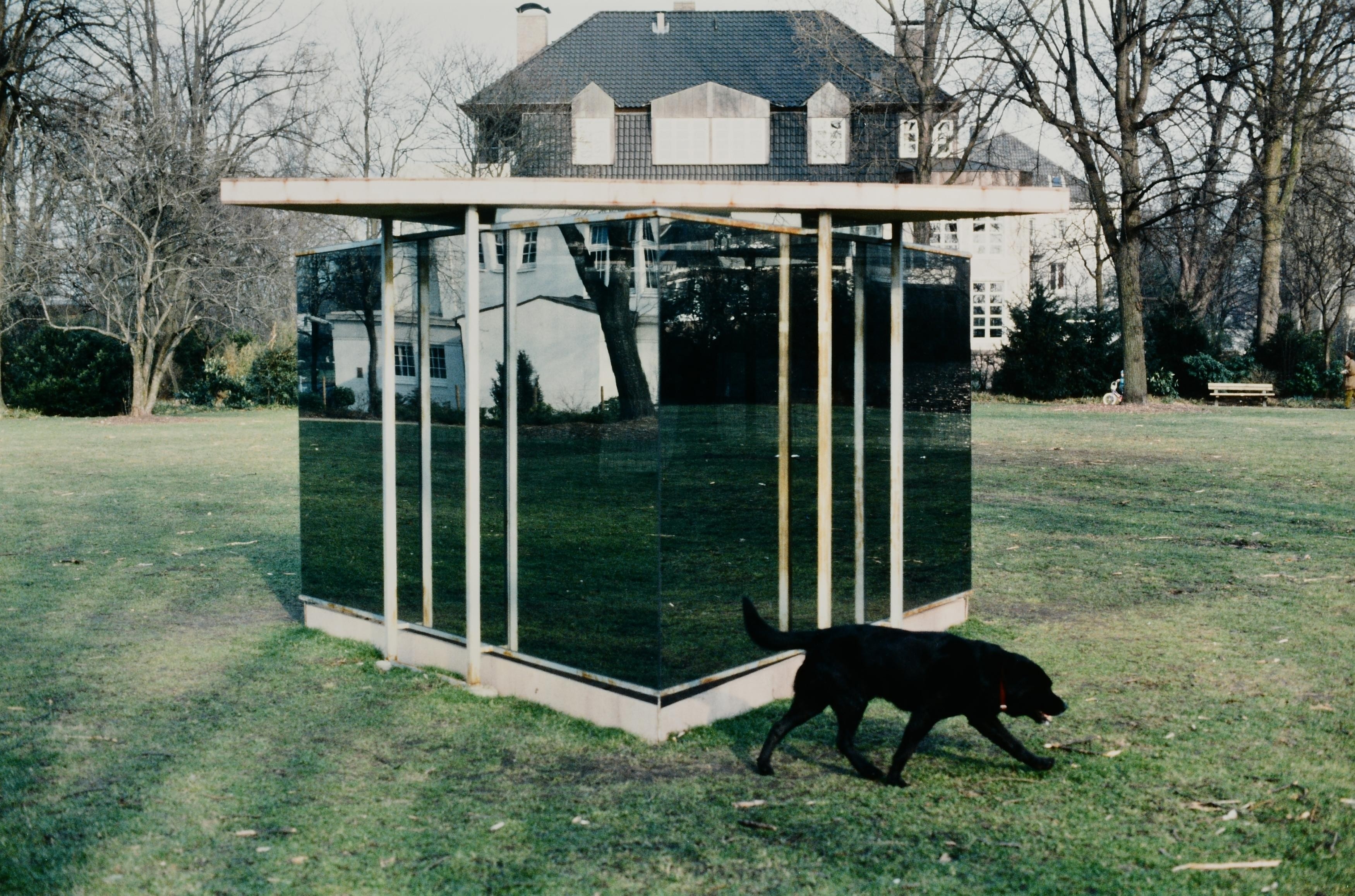 Artwork by Dan Graham, Pavillon with dog, Made of C-print on Agfa-Professional paper