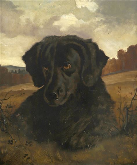 Black labrador by Alfred Wheeler, 1880