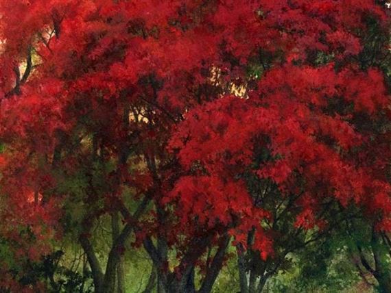 Tina Holley: A New Direction - Dawyck Botanic Garden