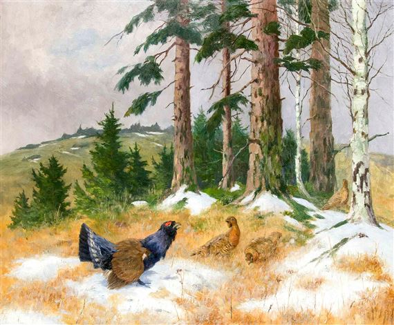 Capercaillie in snowy landscape by Carl Deiker