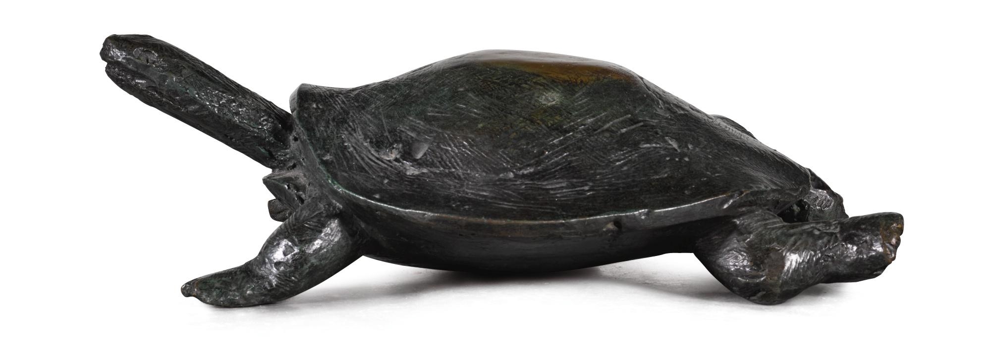 Artwork by Nicola Hicks, TORTOISE, Made of bronze