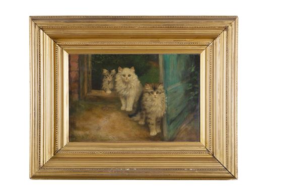 The wide wide world by Harry Dixon