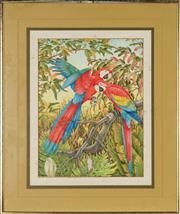 Peter Longhurst | Scarlet Macaws | MutualArt