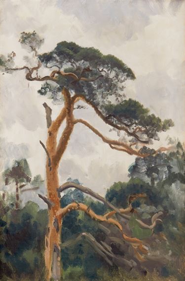 Landskap med tall by Bruno Liljefors