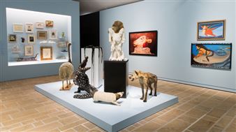 A Collection of Curiosities