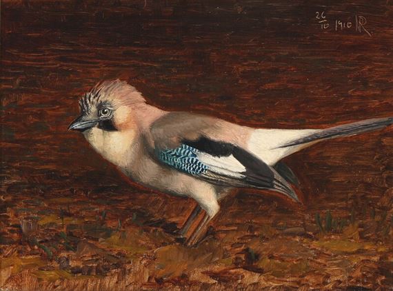 A jay by Niels Peter Rasmussen, 1910