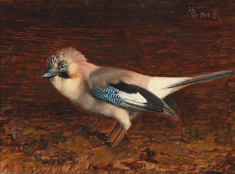 Artwork by Niels Peter Rasmussen, A jay, Made of Oil on canvas