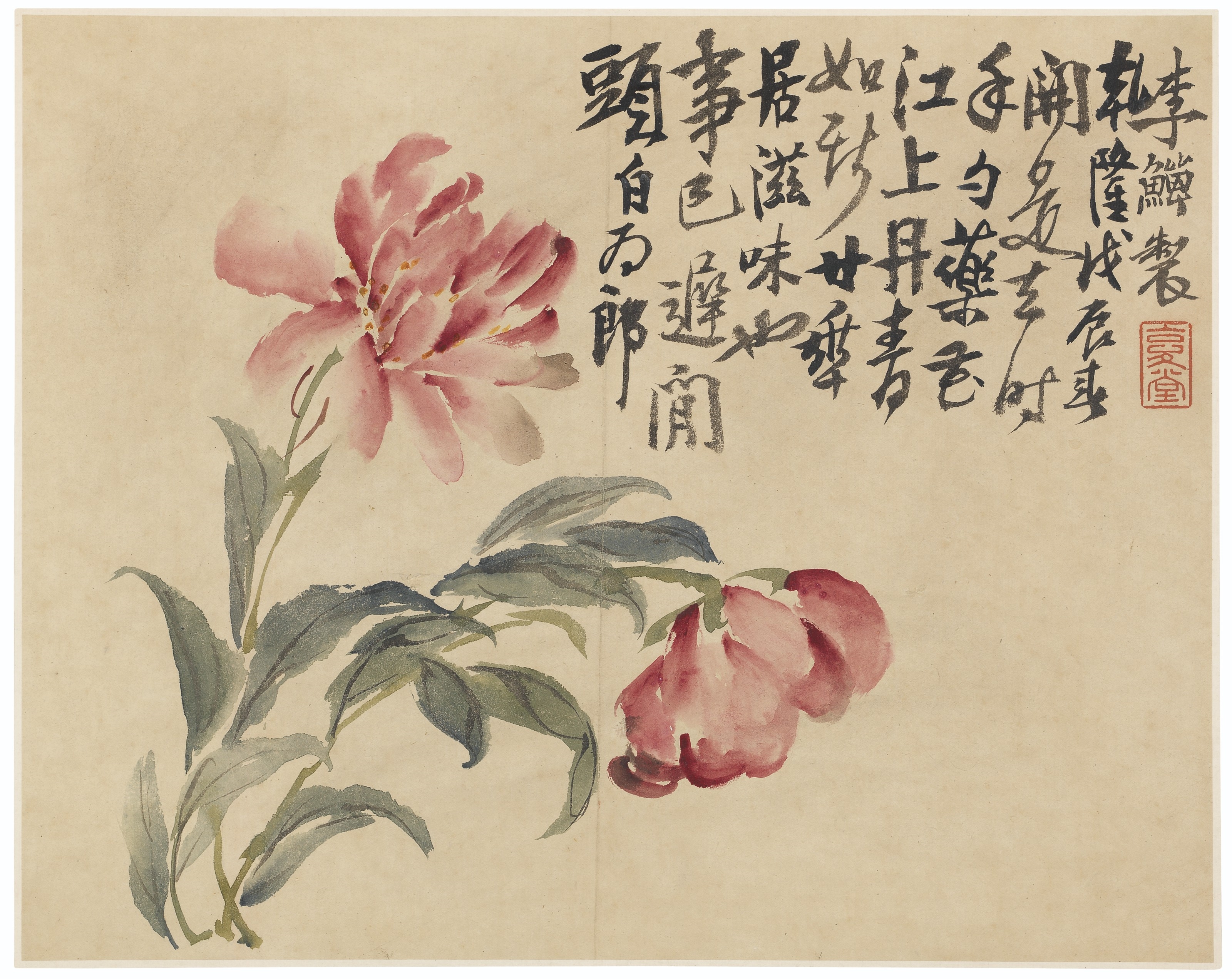 Li Shan | 8 Works: Flora (1748) | MutualArt