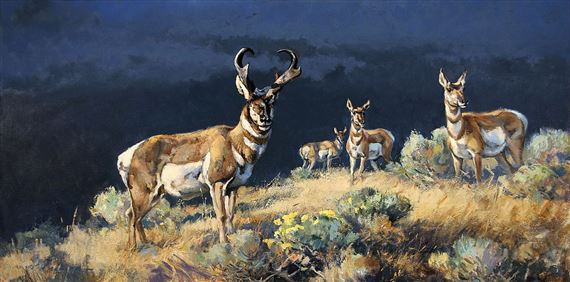 Pronghorn Horizon by Luke Frazier, 2019