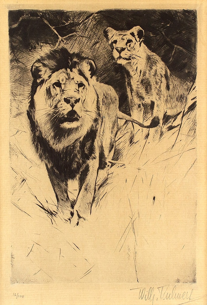 Lions by Wilhelm Kuhnert, 1920
