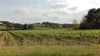 New Photography Center Opens in Tuscany