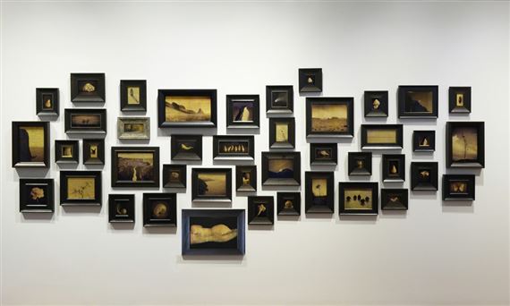 Kate Breakey: Shadows & Light - Photo-Eye Gallery