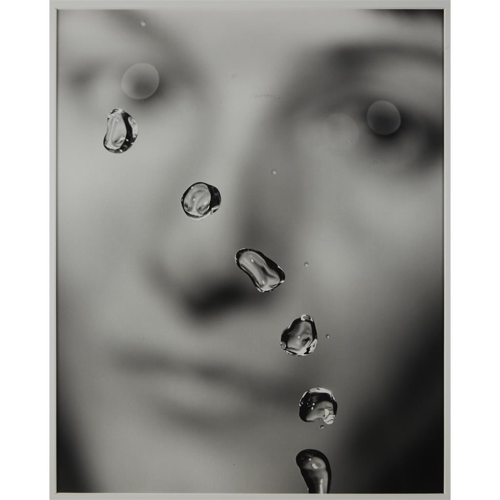 Susan Derges | the observer and the observed #12 | MutualArt