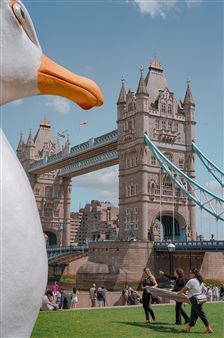 In His New Series, Photographer Josh Edgoose Captures a World Ruled by Birds