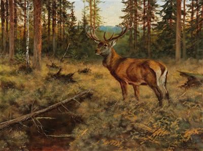 George Majewicz | Stag in a Woodland Clearing | MutualArt