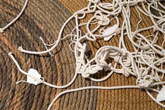 Human Ecology 101 - Ronald Feldman Fine Arts