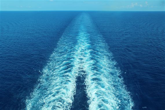 Joiri Minaya: Labadee - Blanton Museum of Art